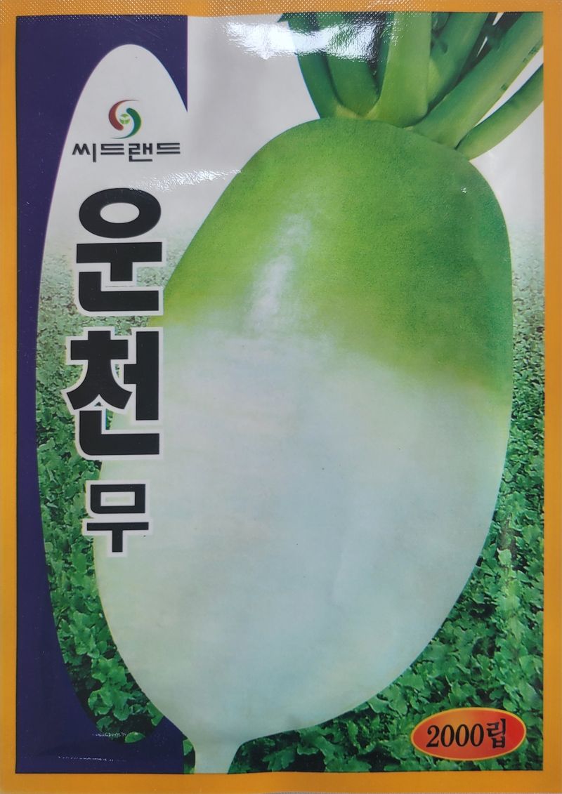 장터 상품 [운천무 씨앗  2000립 ] 썸네일