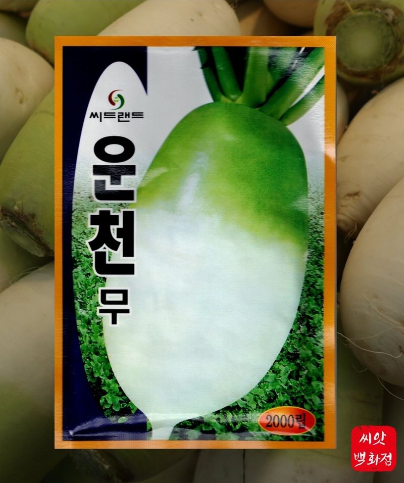 장터 상품 [운천무 씨앗  2000립 ] 썸네일