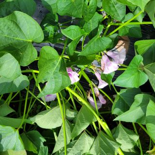 이창화님의 기타작물 · 자유게시판 작성글 사진