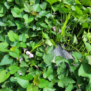 이창화님의 기타작물 · 자유게시판 작성글 사진