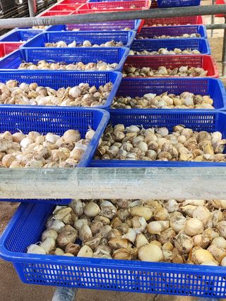 나영호님의 작성글 사진