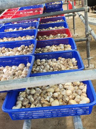 나영호님의 작성글 사진