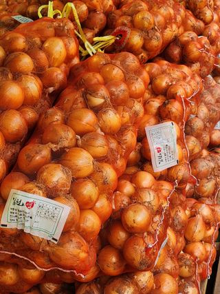 나영호님의 작성글 사진