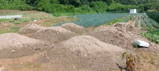 이진수님의 기타작물 · 영농일지 작성글 사진