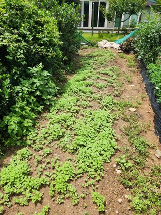 최군환님의 기타작물 · 자유게시판 작성글 사진