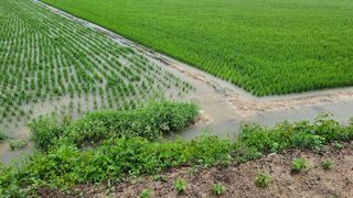 황영출님의 장마 대비 어떻게 하셨나요? · 참여 작성글 사진