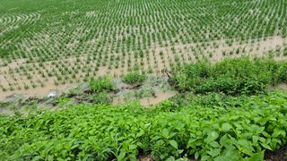 황영출님의 장마 대비 어떻게 하셨나요? · 참여 작성글 사진