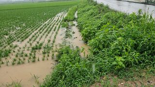 황영출님의 장마 대비 어떻게 하셨나요? · 참여 작성글 사진