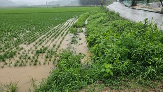 황영출님의 장마 대비 어떻게 하셨나요? · 참여 작성글 사진