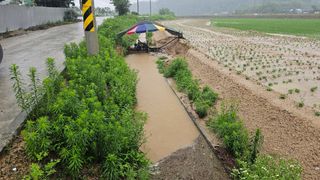 황영출님의 장마 대비 어떻게 하셨나요? · 참여 작성글 사진