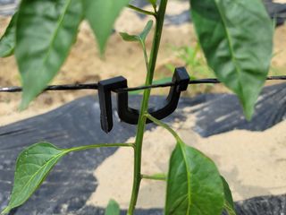 박영만님의 양배추 · 영농일지 작성글 사진