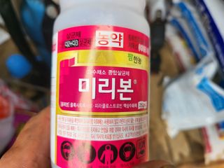 대광자동차공업사님의 고추 · 병해충상담 작성글 사진