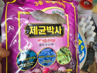 대광자동차공업사님의 고추 · 병해충상담 작성글 사진