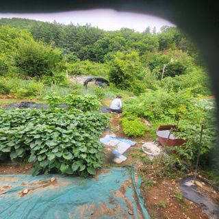 유윤주님의 장마 대비 어떻게 하셨나요? · 참여 작성글 사진