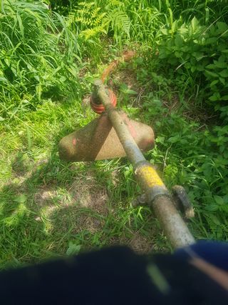 문성농장15146님의 감 · 영농일지 작성글 사진