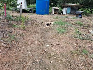 조명희님의 장마 대비 어떻게 하셨나요? · 참여 작성글 사진