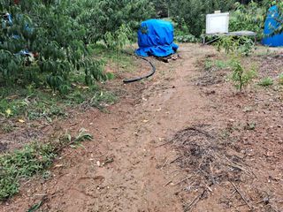 조명희님의 장마 대비 어떻게 하셨나요? · 참여 작성글 사진