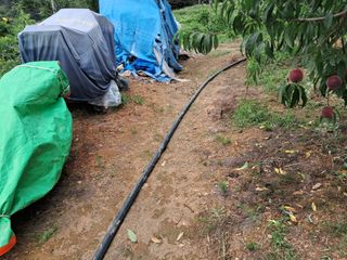 조명희님의 장마 대비 어떻게 하셨나요? · 참여 작성글 사진