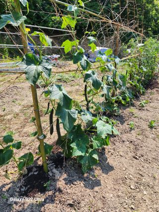 강신규님의 장마 대비 어떻게 하셨나요? · 참여 작성글 사진
