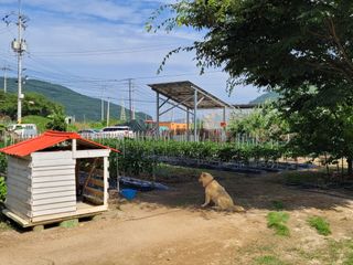 설죽 문평래님의 자유주제 · 사진전 작성글 사진