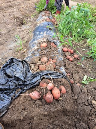 좋은인연원님의 자유주제 · 자유게시판 작성글 사진