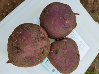 좋은인연원님의 자유주제 · 자유게시판 작성글 사진