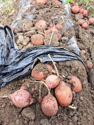 좋은인연원님의 자유주제 · 자유게시판 작성글 사진