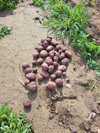좋은인연원님의 자유주제 · 자유게시판 작성글 사진