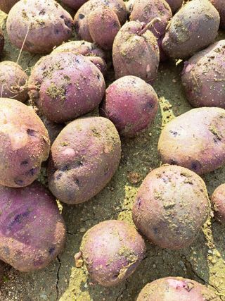 좋은인연원님의 자유주제 · 자유게시판 작성글 사진