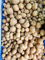 팜모닝 장마 대비 어떻게 하셨나요?·참여 게시글 이미지