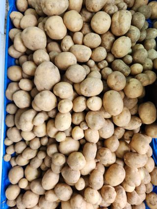 정열님의 장마 대비 어떻게 하셨나요? · 참여 작성글 사진