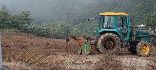 이.일신.꽃분아빠님의 배추 · 일상 작성글 사진