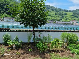 제로스톤님의 자유주제 · 자유게시판 작성글 사진