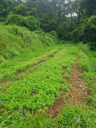 사과농사님의 자유주제 · 자유게시판 작성글 사진