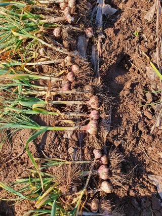 정석기님의 작성글 사진