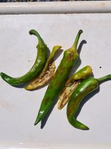 팜모닝 고추·병해충상담 게시글 이미지