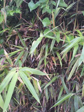 초보 농부님의 자유주제 · 자유게시판 작성글 사진