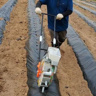 김우진님의 콩 · 자유게시판 작성글 사진