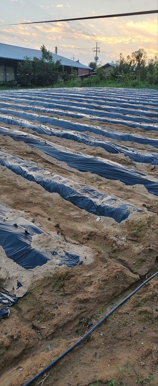 김우진님의 콩 · 자유게시판 작성글 사진
