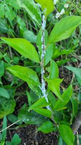 팜모닝 자유주제·자유게시판 게시글 이미지