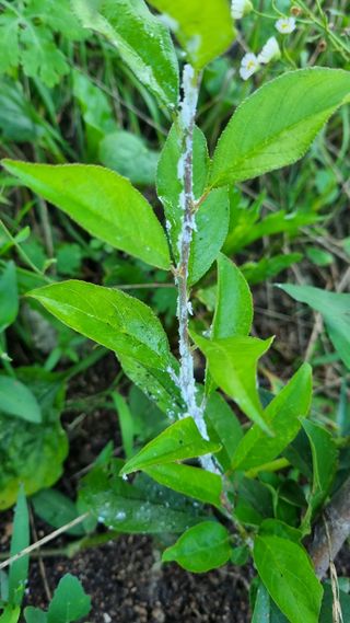 정수식님의 자유주제 · 자유게시판 작성글 사진