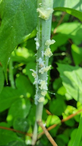 정수식님의 자유주제 · 자유게시판 작성글 사진