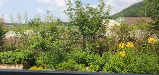 춘천(세모돌이)님의 자유주제 · 자유게시판 작성글 사진