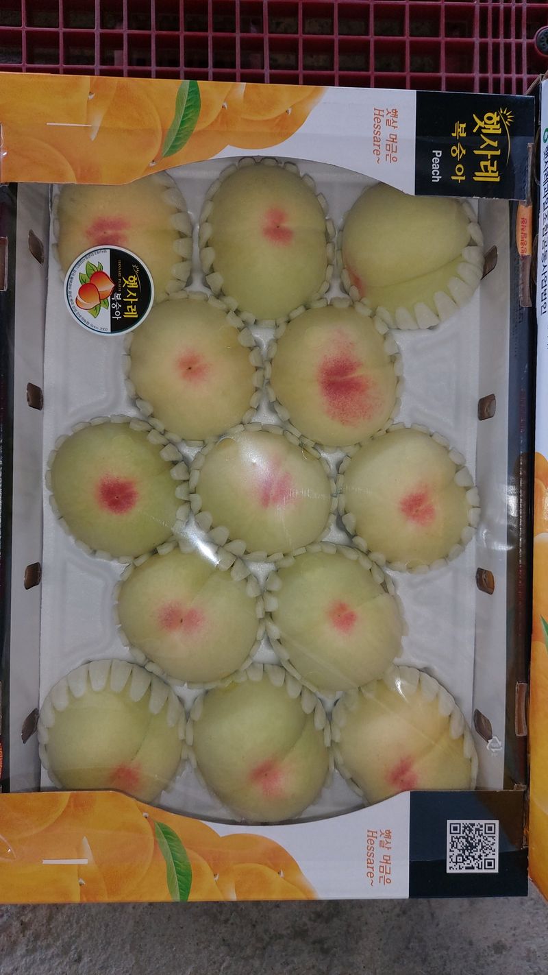 장터 상품 [물렁이 복숭아 4Kg(수확일정 수정)] 썸네일