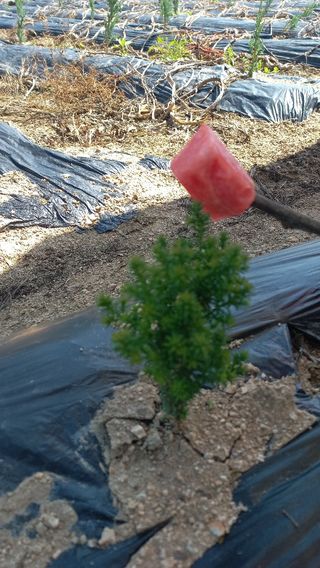 김대현(청솔)님의 장마 대비 어떻게 하셨나요? · 참여 작성글 사진