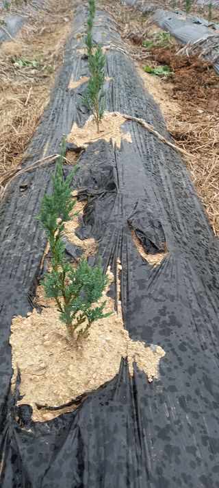 김대현(청솔)님의 장마 대비 어떻게 하셨나요? · 참여 작성글 사진