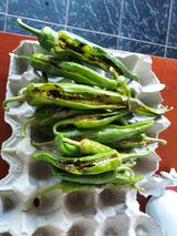 팜모닝 고추·병해충상담 게시글 이미지