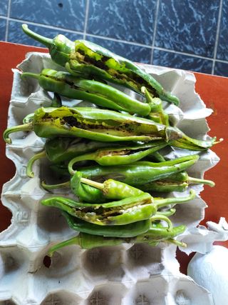 몽자아빠님의 고추 · 병해충상담 작성글 사진