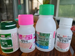 윤장원님의 자두 · 영농일지 작성글 사진