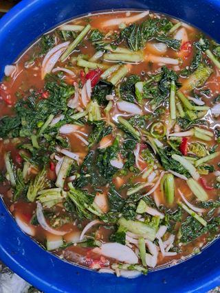 김기한님의 기타작물 · 자유게시판 작성글 사진